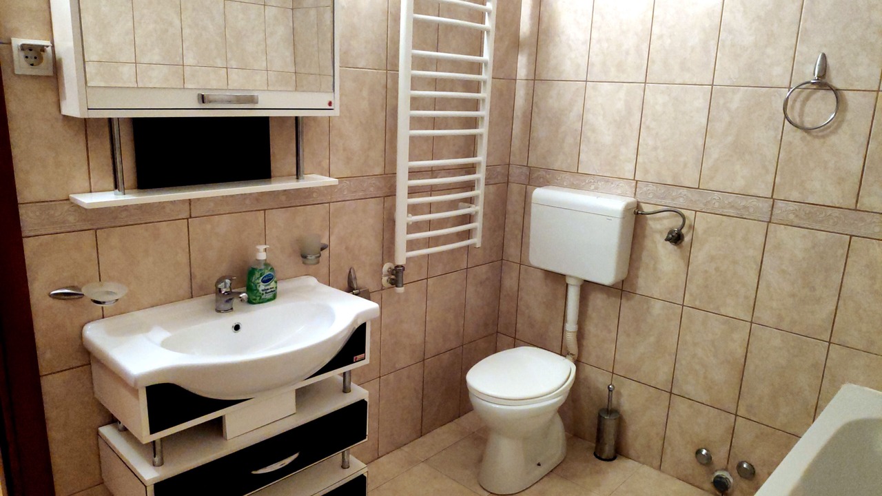 Photo of Bathroom in Dubovica