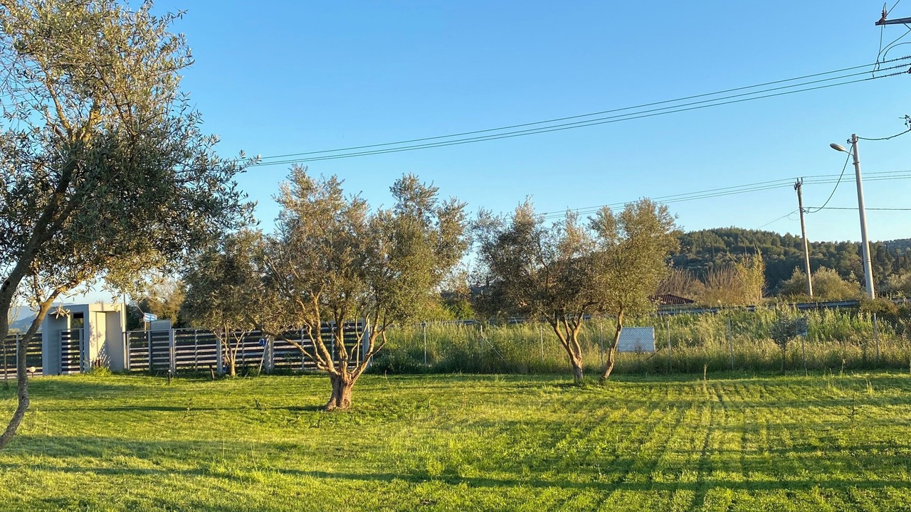 Photo of Outdoor in Pyrgos
