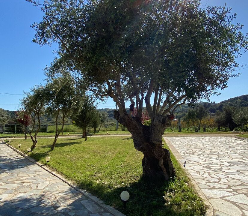 Photo of Outdoor in Pyrgos