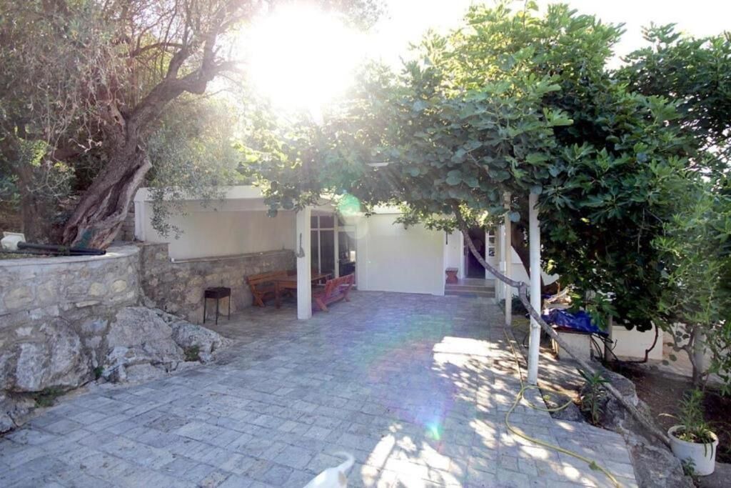 Photo of Outdoor in Rezevici