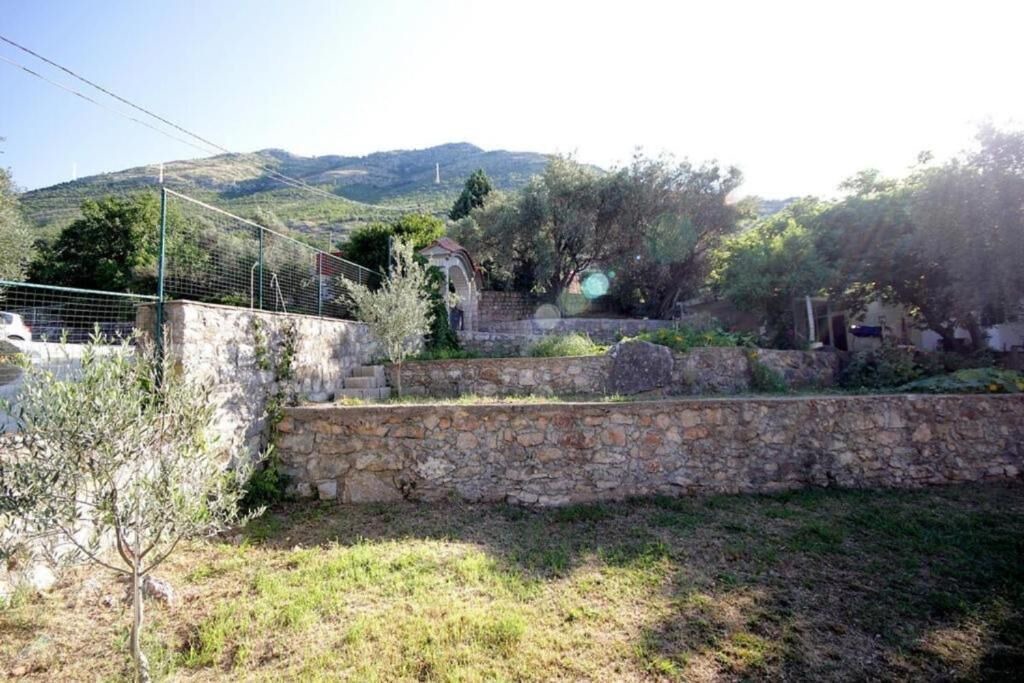 Photo of Outdoor in Rezevici