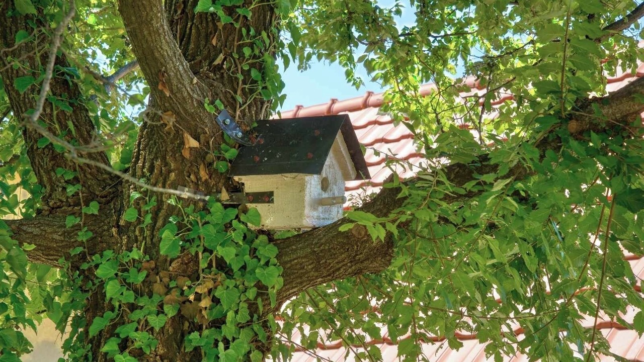 Photo of Others in Skaljari