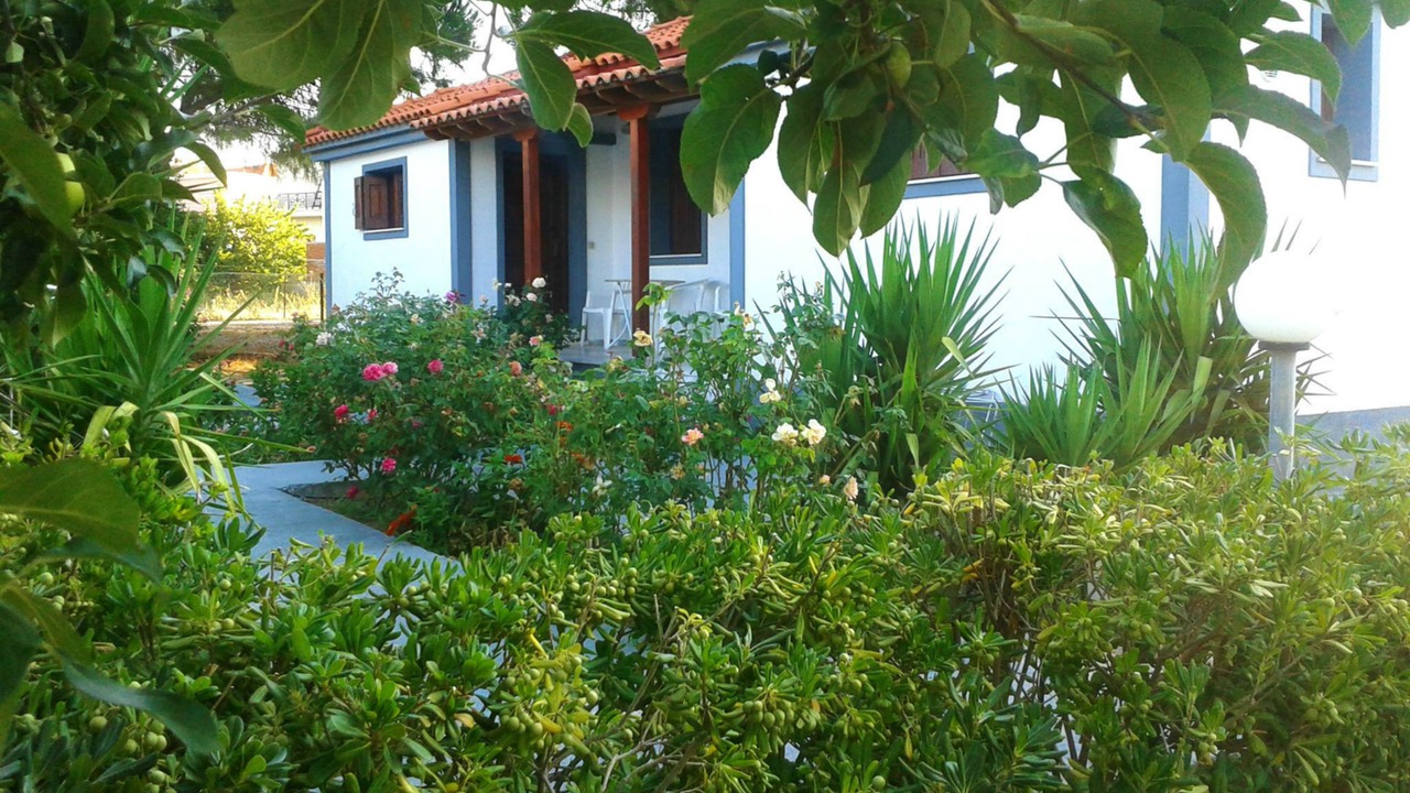 Photo of Outdoor in Skala Kallonis