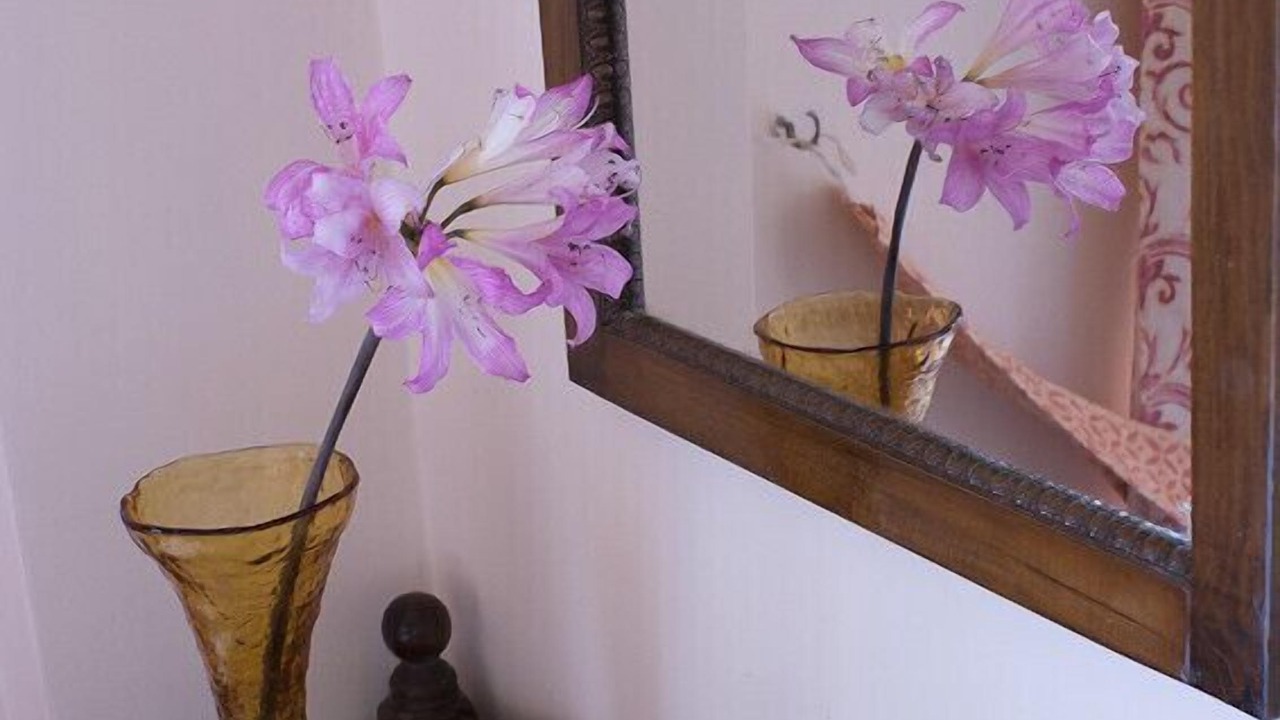Photo of Bedroom in Tsilivi