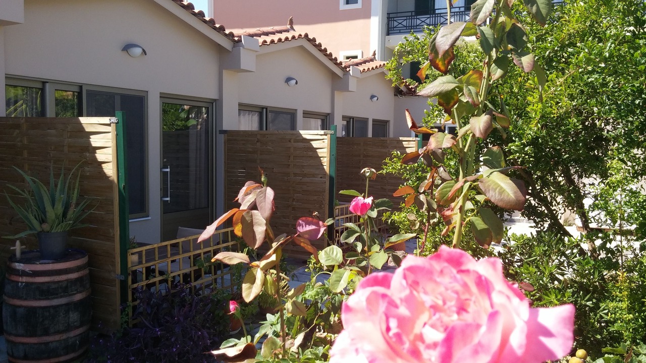Photo of Outdoor in Tsilivi