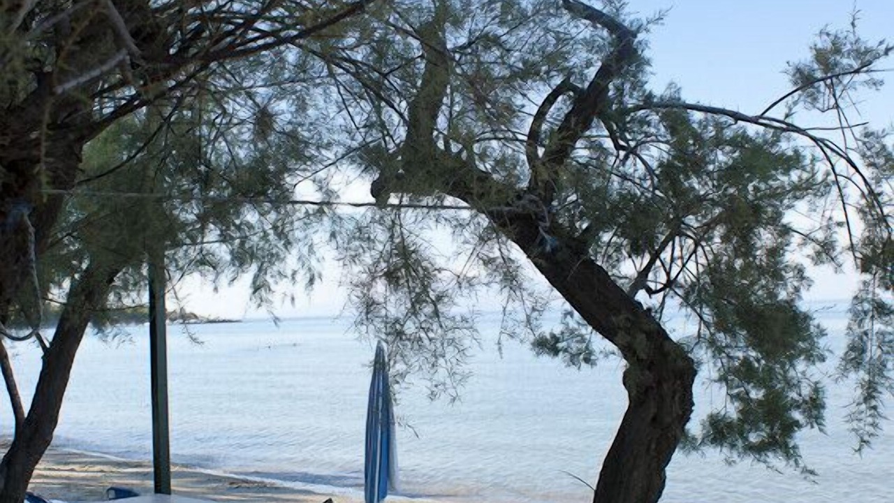 Photo of Outdoor in Tsilivi
