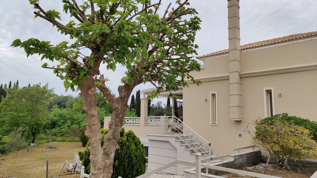 Photo of Outdoor in Corfu