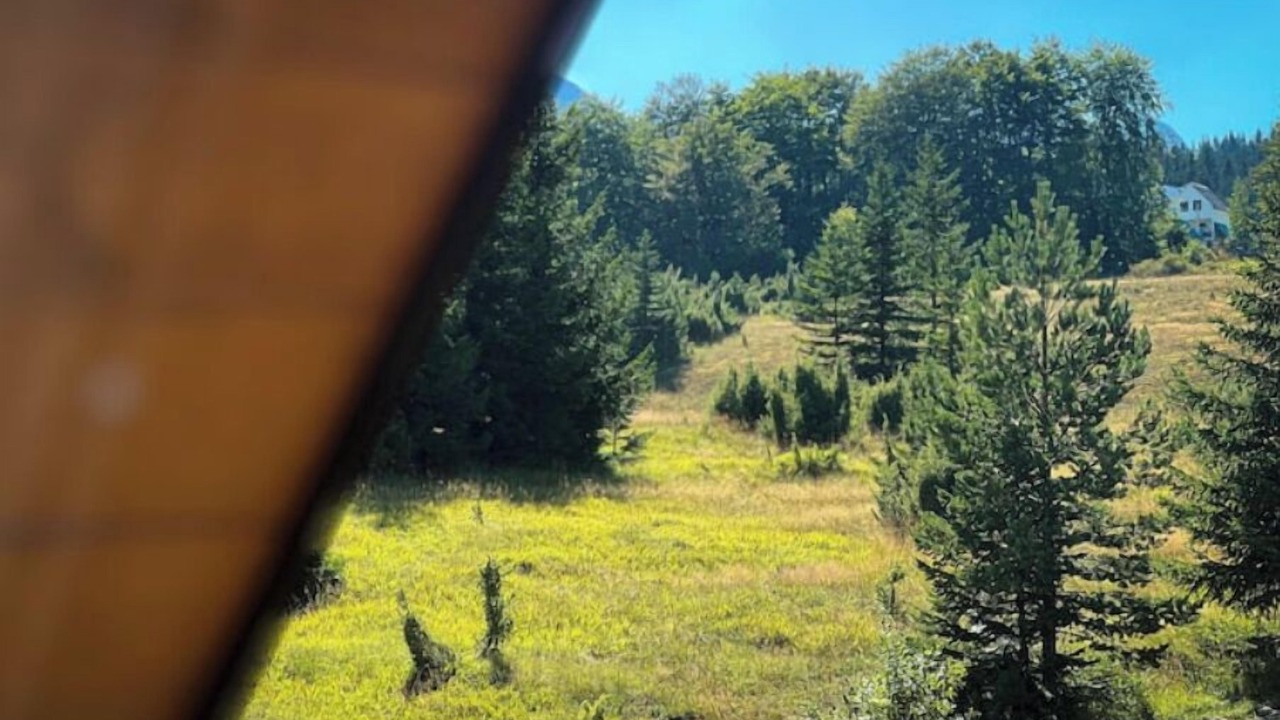 Photo of Others in Zabljak