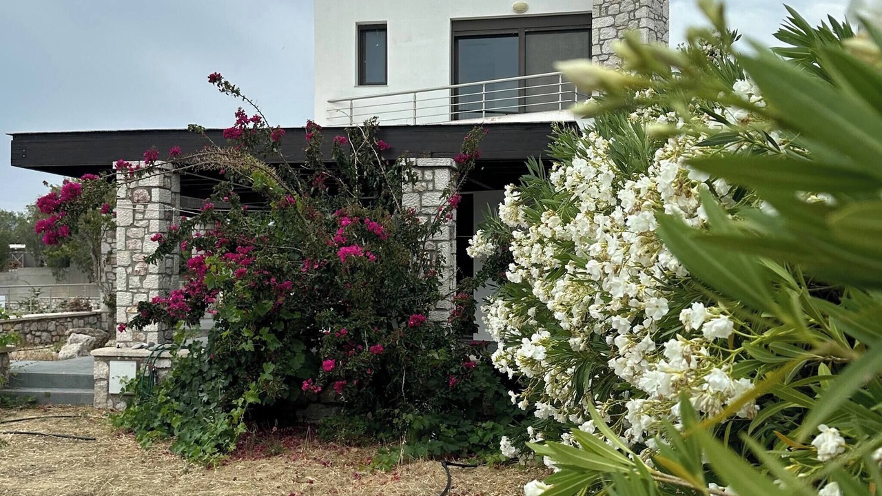 Photo of Outdoor in Lahania