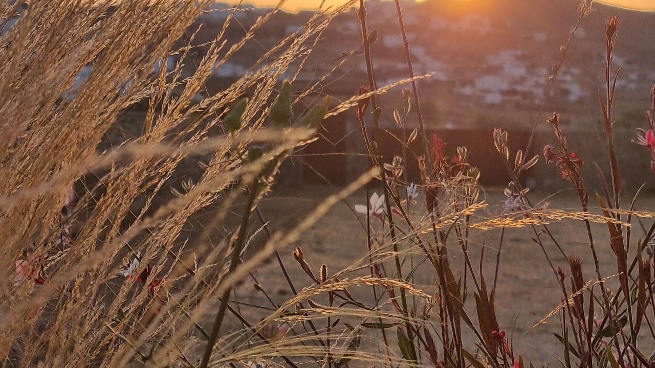 Photo of Outdoor in Ano Mera