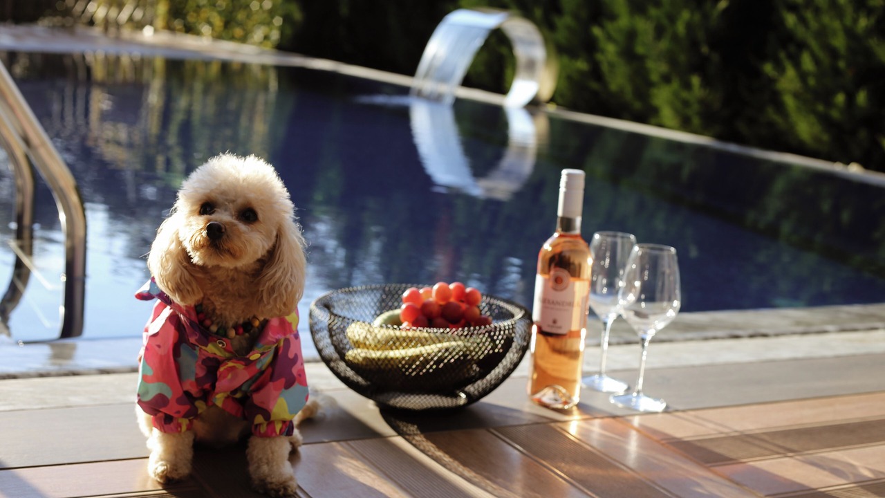Photo of Outdoor in Lazi