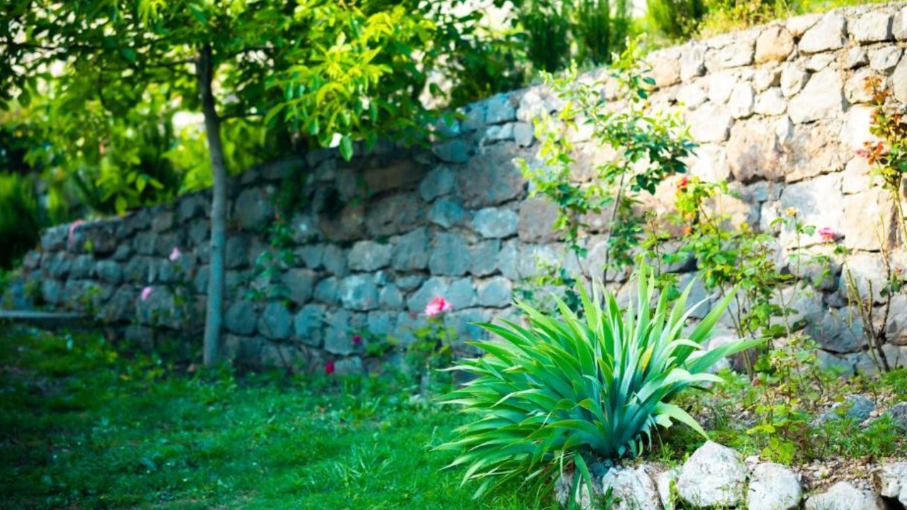 Photo of Outdoor in Limljani