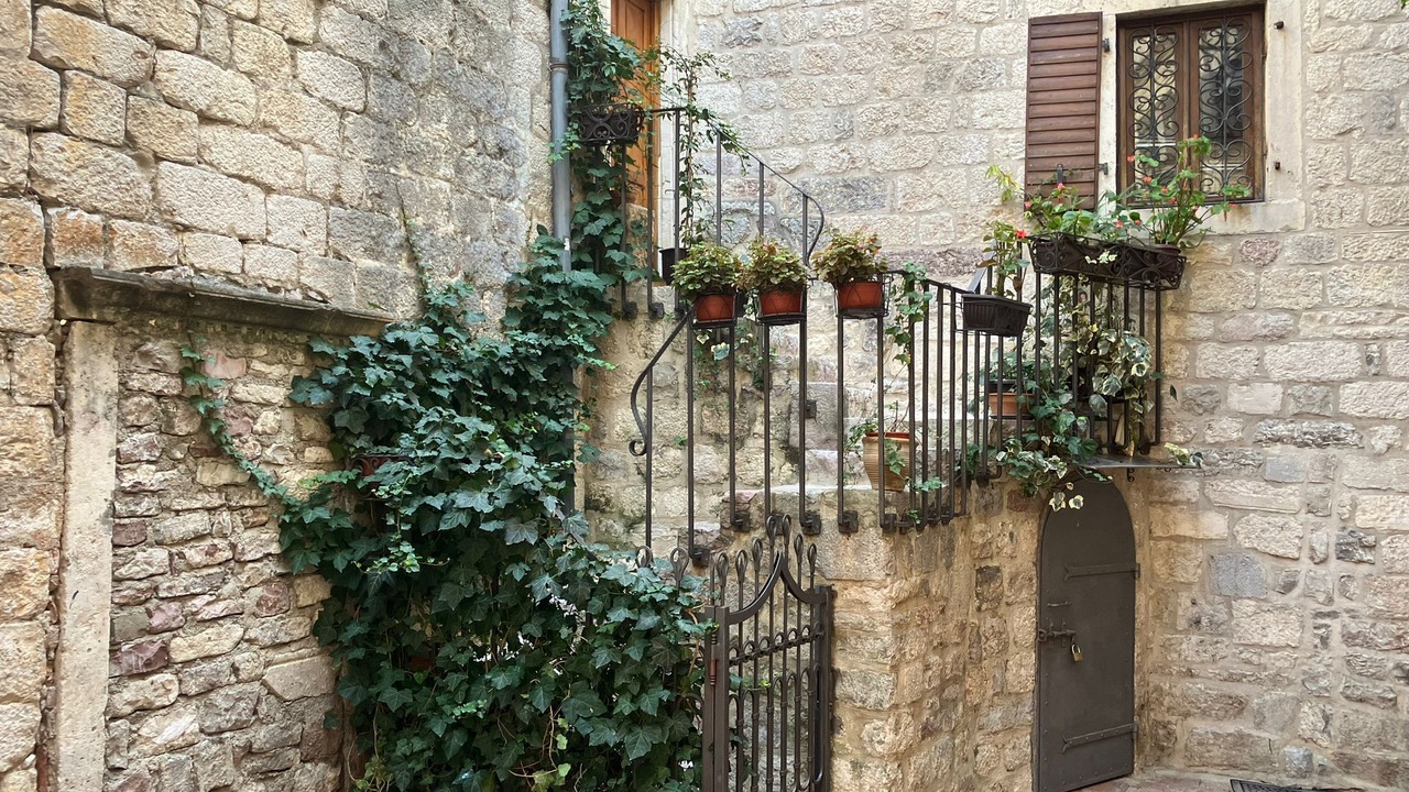 Photo of Outdoor in Kotor Old Town