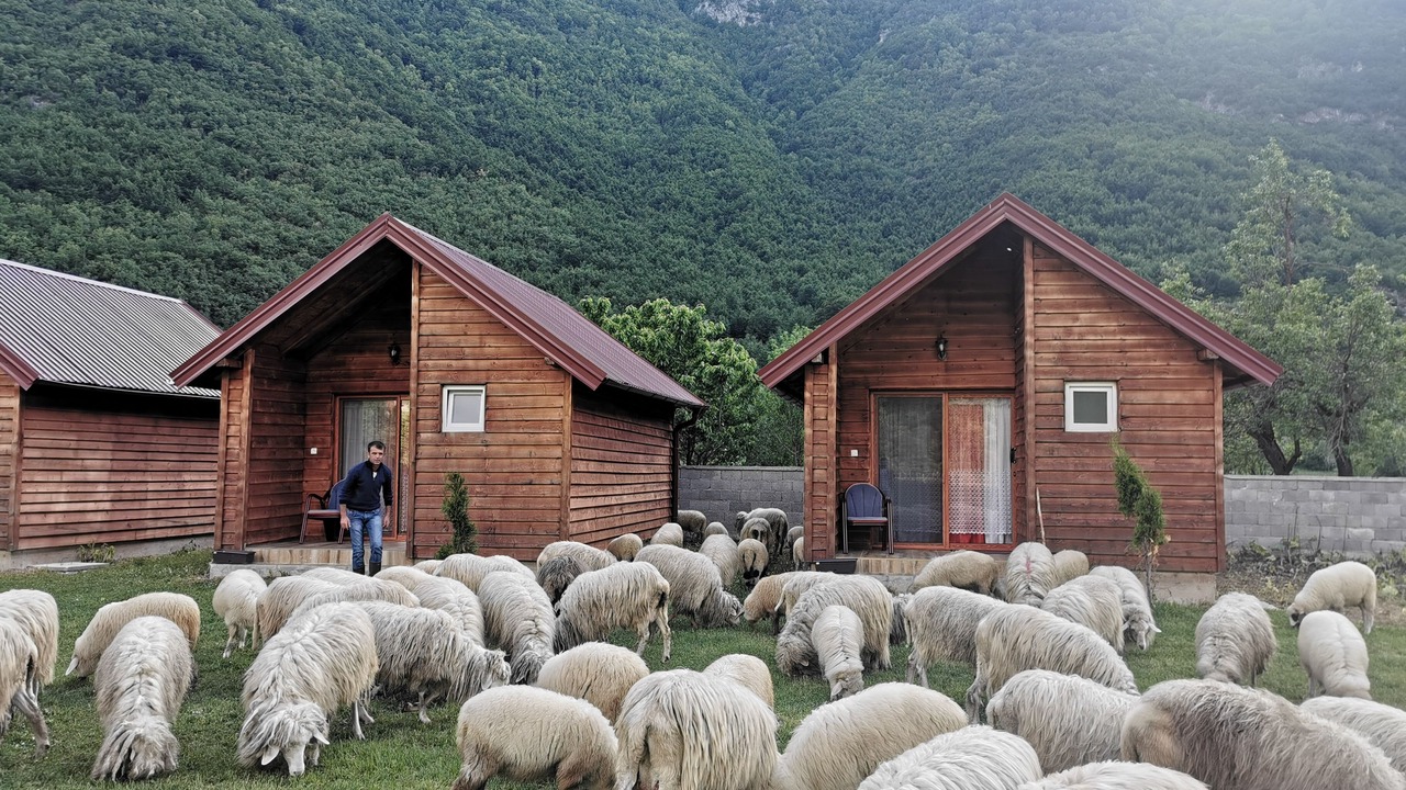 Photo of Others in Vusanje
