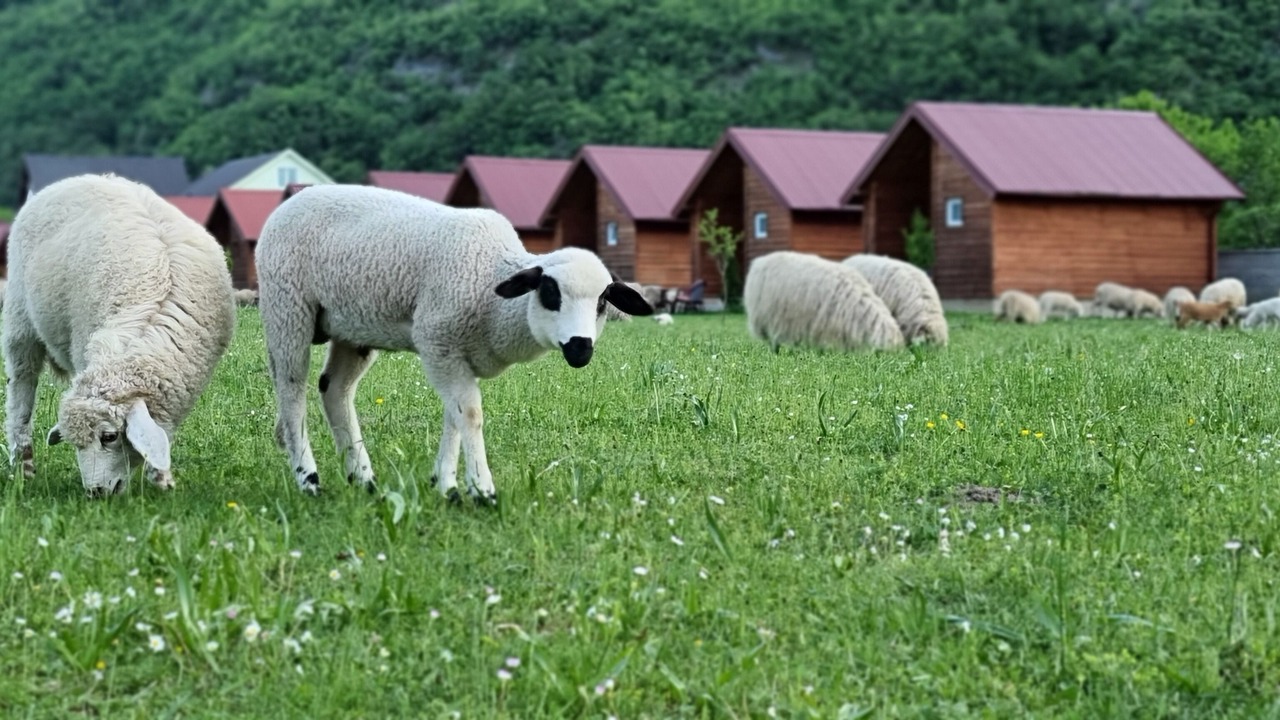 Photo of Outdoor in Vusanje