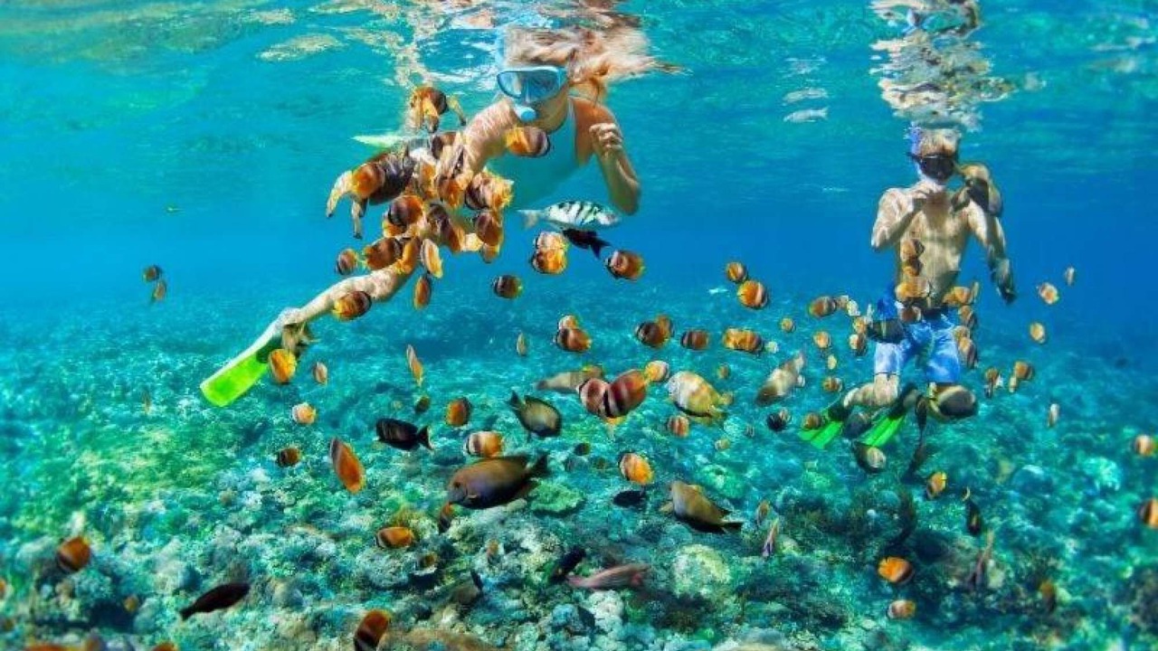 Photo of Others in Drosia