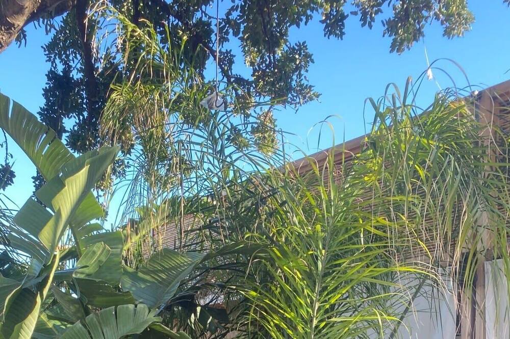 Photo of Outdoor in Nea Makri