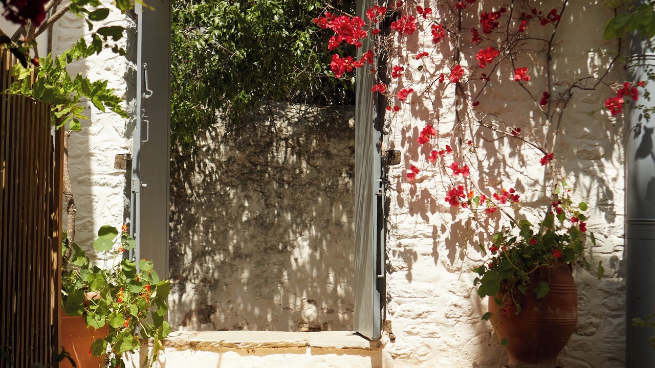 Photo of Outdoor in idhra