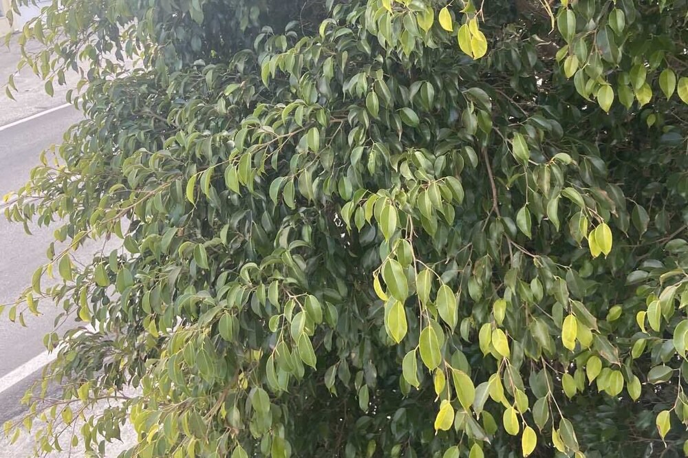 Photo of Outdoor in Karterados