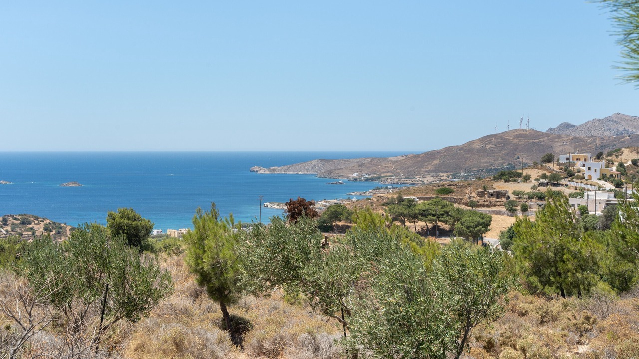 Photo of Others in Gourna