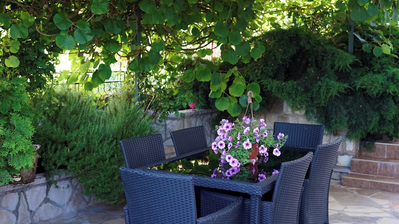 Photo of Outdoor in Radovici