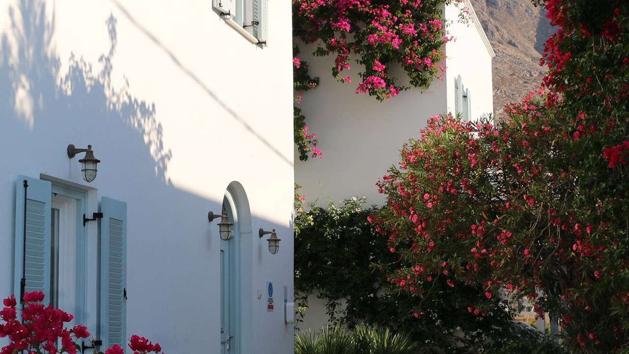 Photo of Outdoor in Perissa
