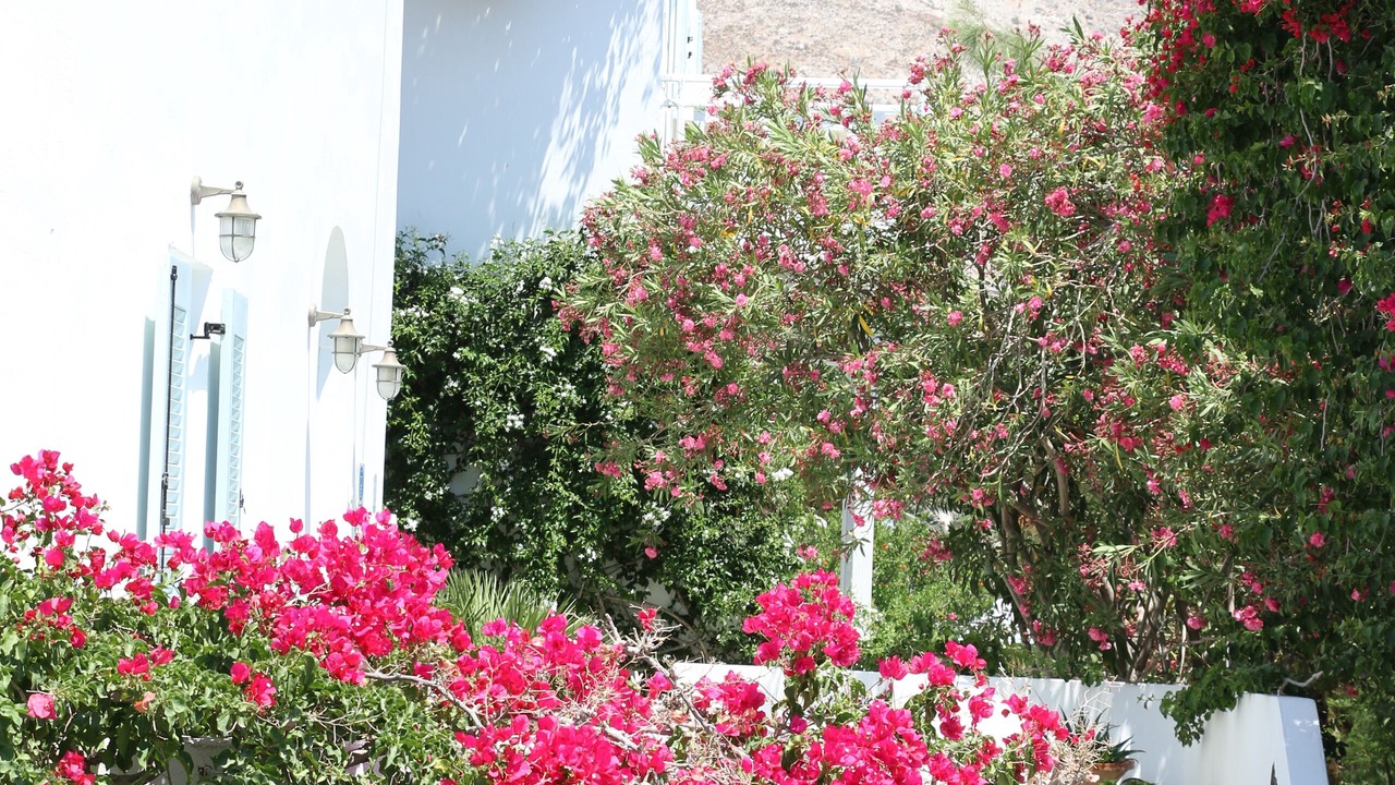 Photo of Outdoor in Perissa