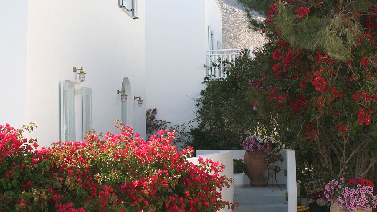 Photo of Outdoor in Perissa