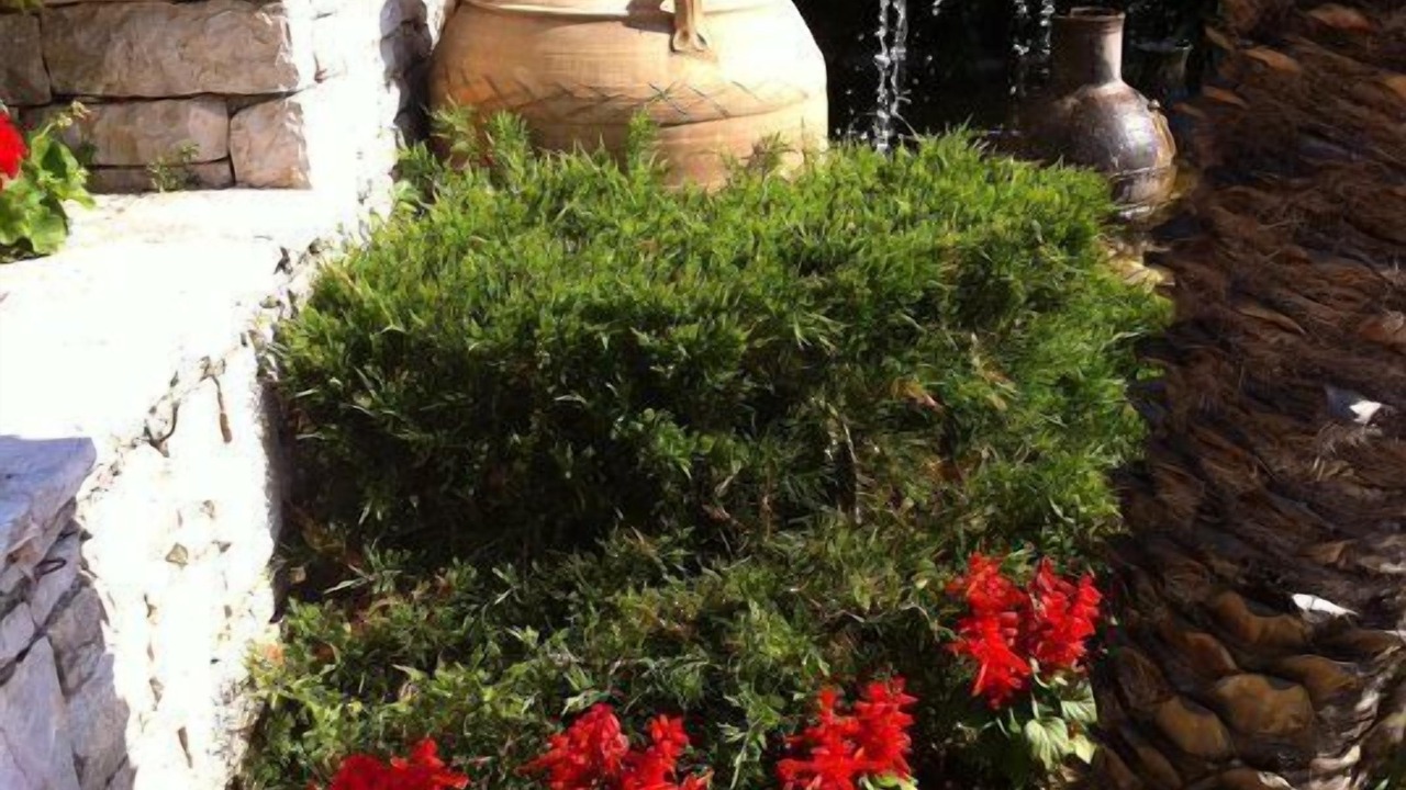 Photo of Outdoor in Corfu Town