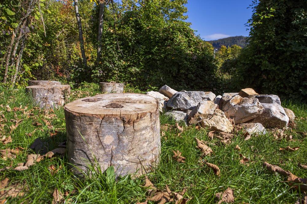 Photo of Outdoor in Kolasin