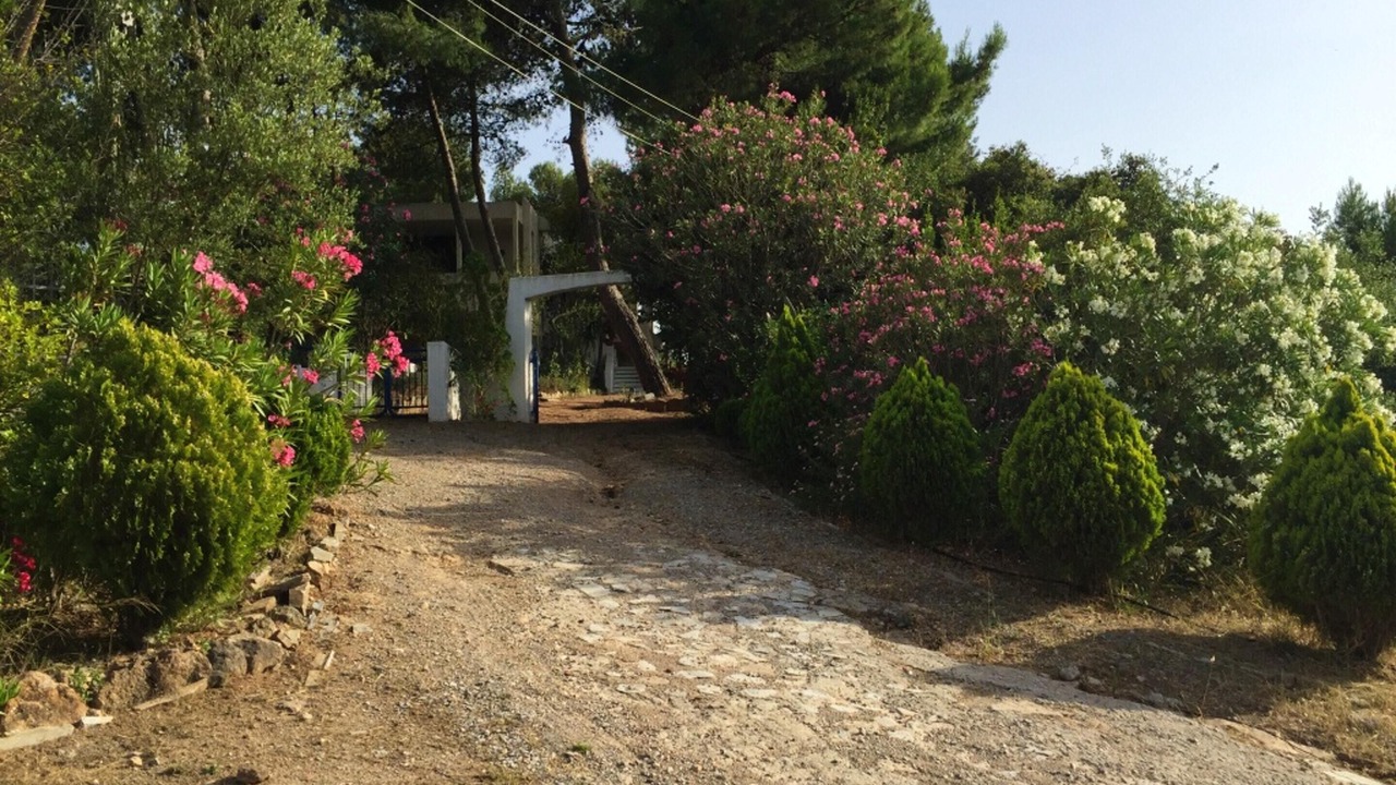 Photo of Outdoor in Chalcis