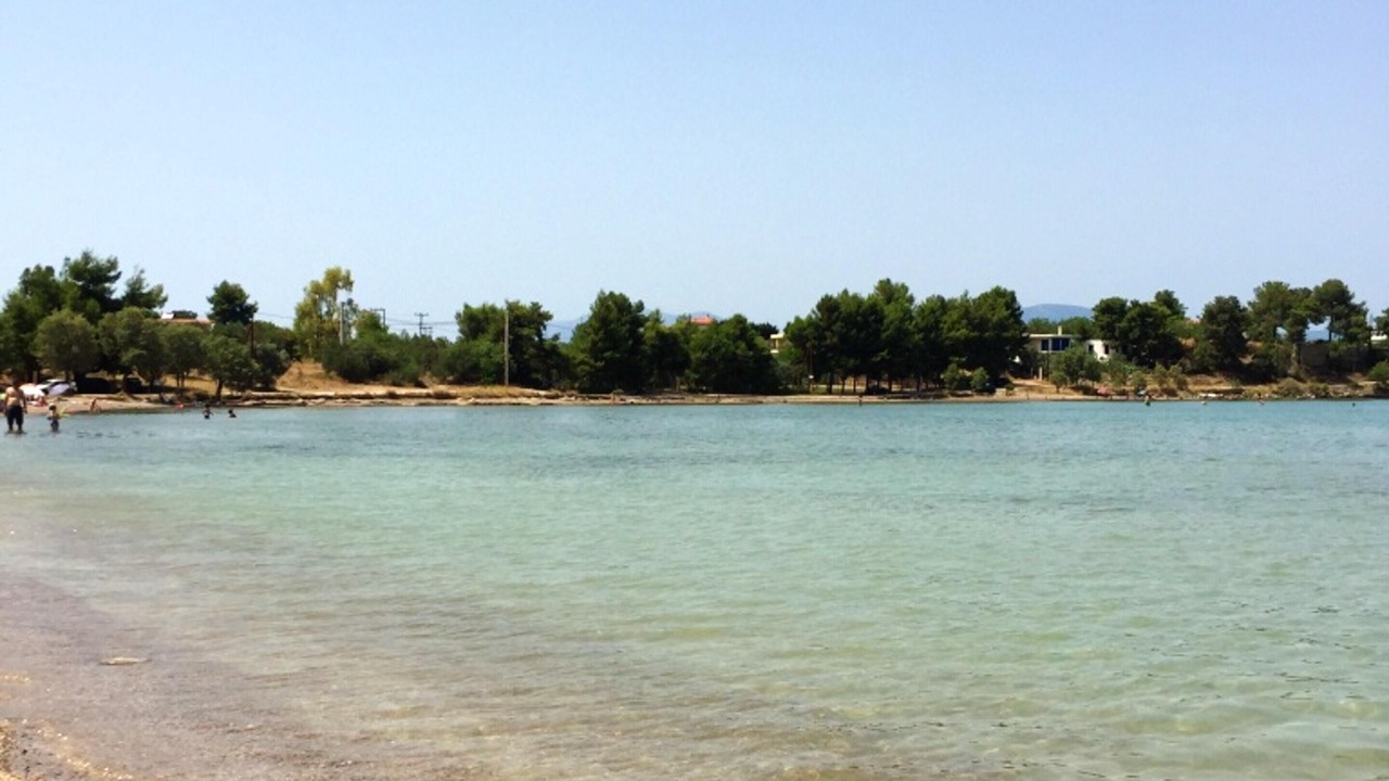 Photo of Others in Chalcis