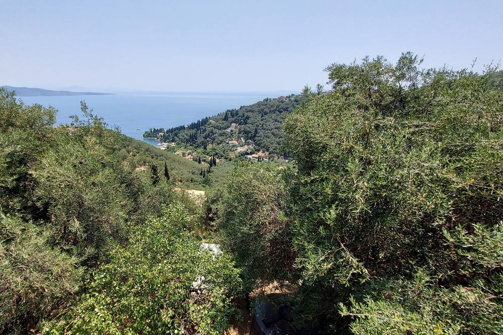 Photo of Others in Gimari