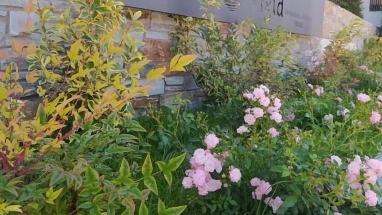Photo of Outdoor in Ierissos