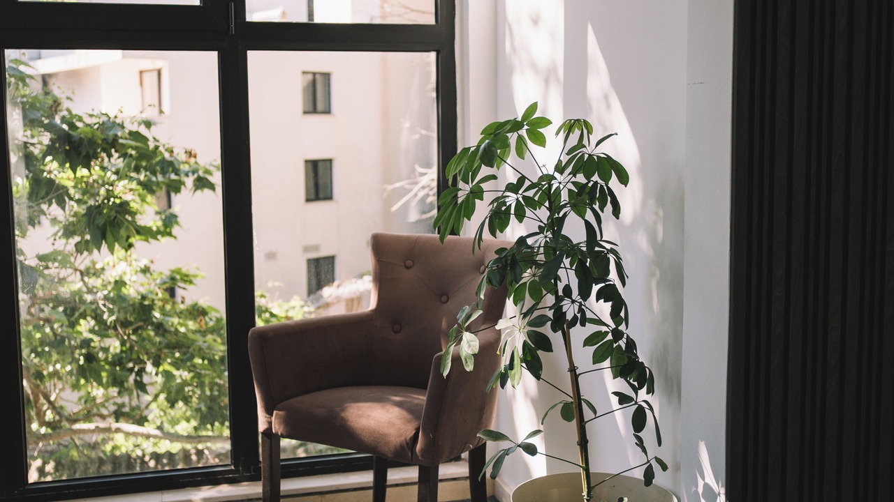 Photo of Patio Balcony in Rana