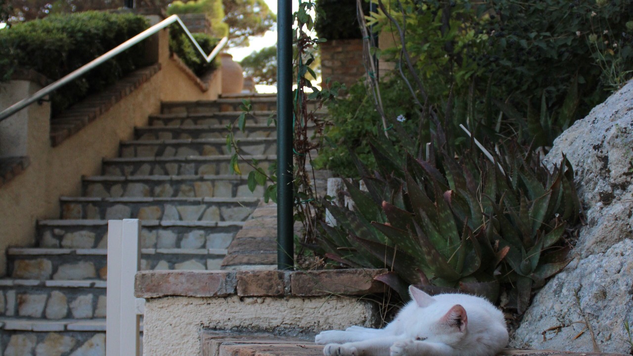 Photo of Outdoor in Lakones