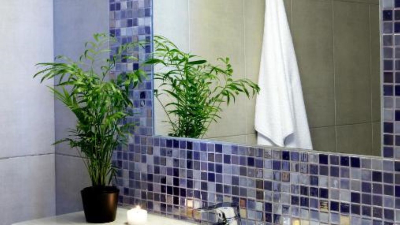 Photo of Bathroom in Argostoli Town