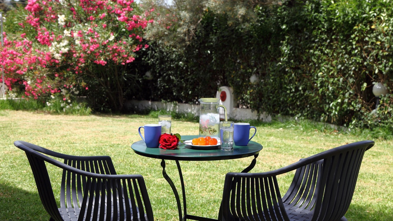 Photo of Outdoor in Lygia