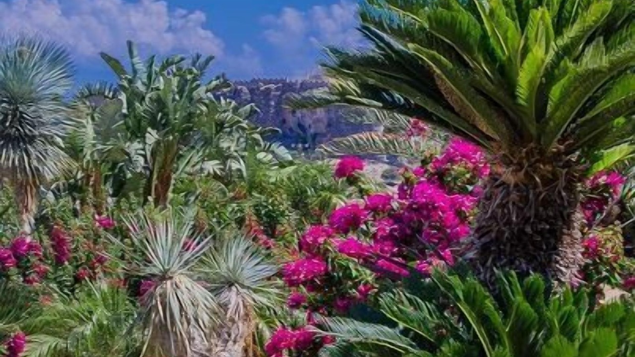 Photo of Outdoor in Lindos