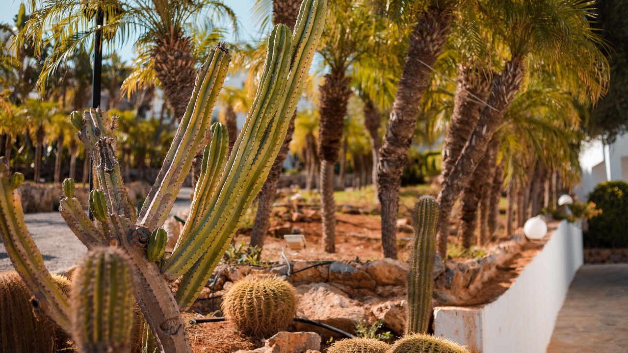 Photo of Outdoor in Lindos