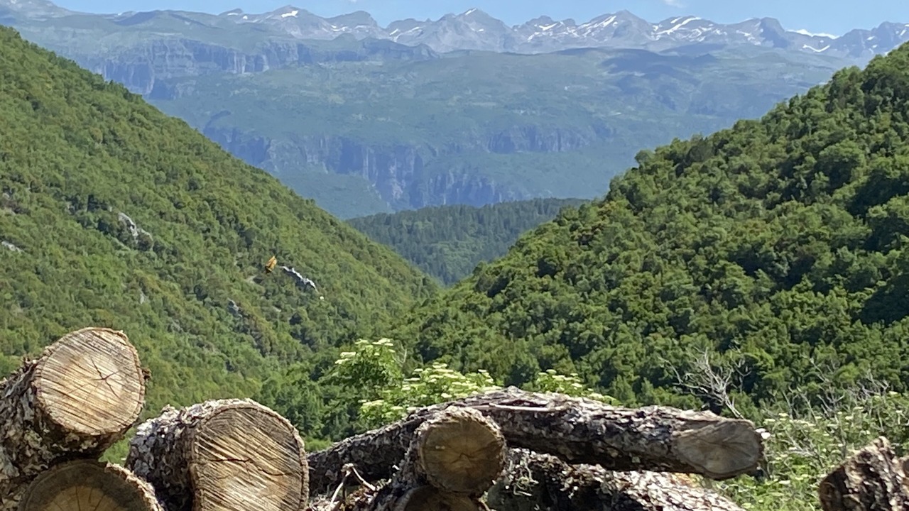 Photo of Others in Asprangeloi