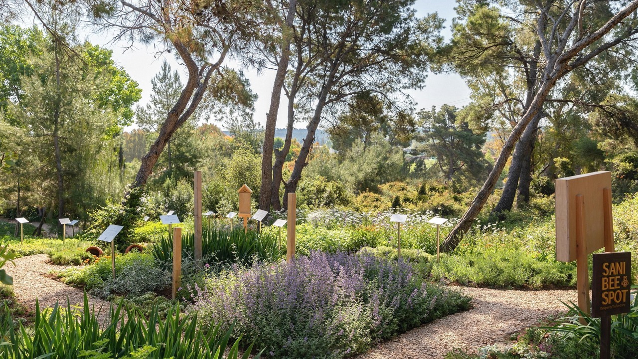 Photo of Outdoor in Sane