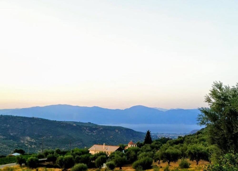 Photo of Others in Koumaris