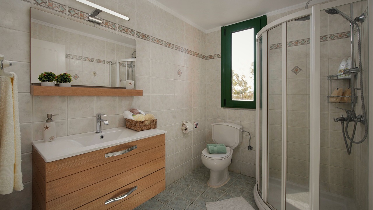 Photo of Bathroom in Gennadi
