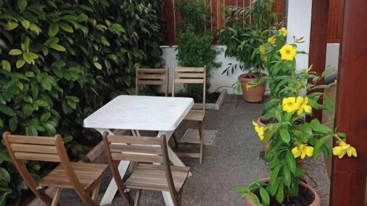 Photo of Outdoor in Spata-Artemida