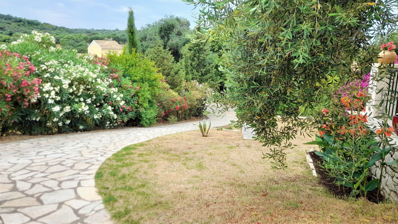 Photo of Outdoor in Agios Spyridon Corfu