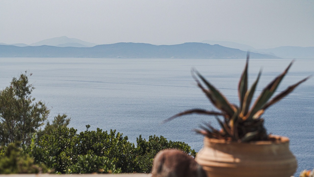 Photo of Others in Kea