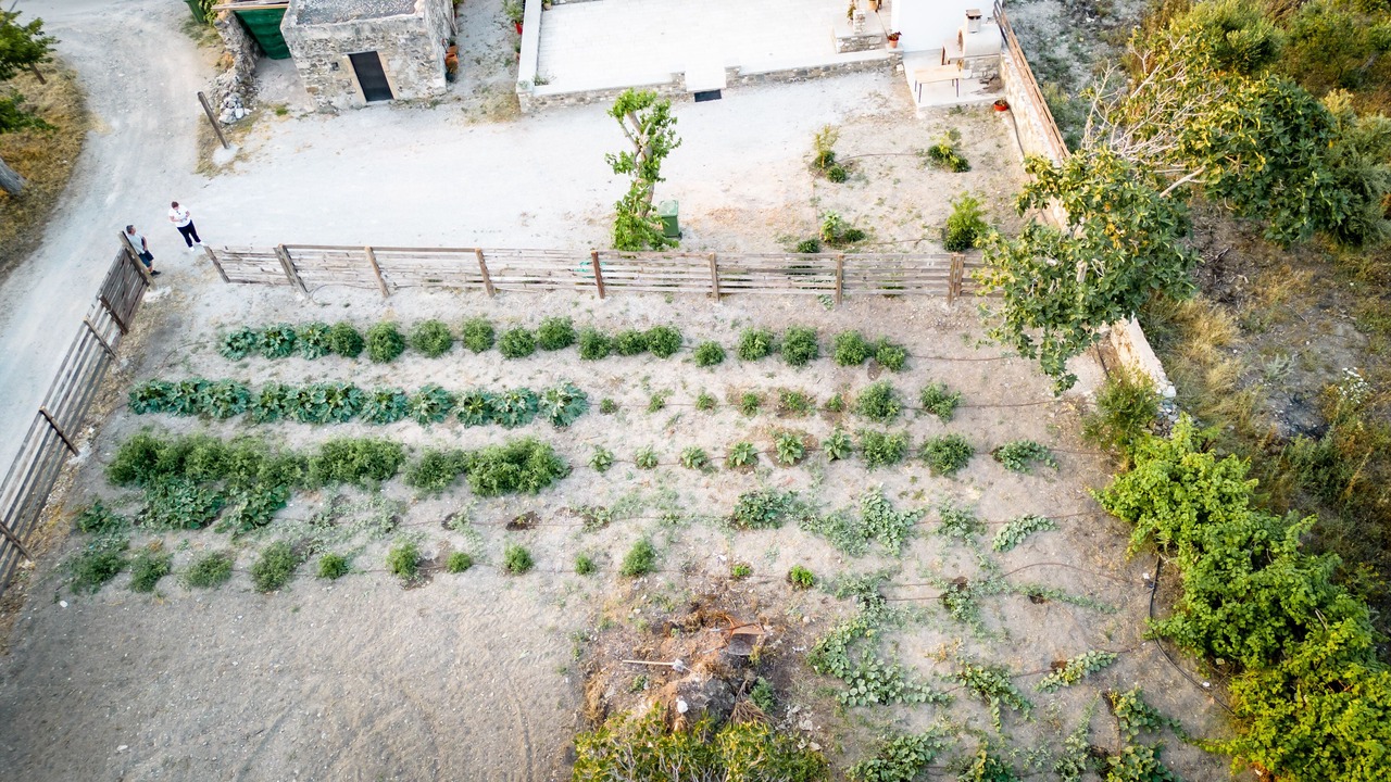 Photo of Outdoor in Psalidi