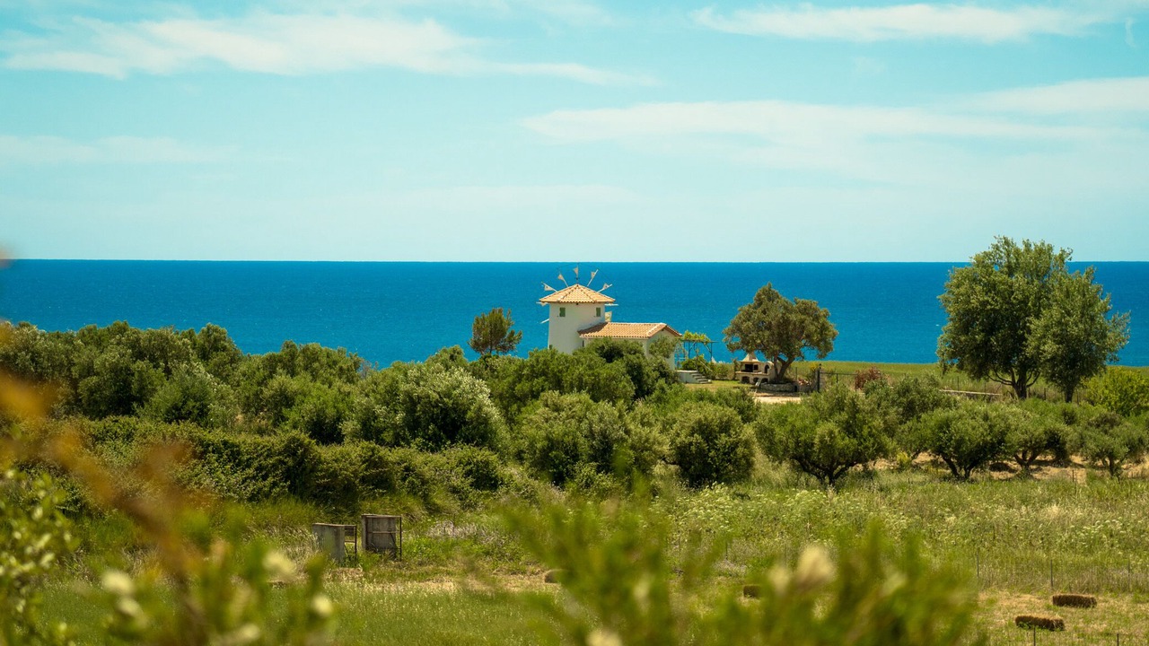 Photo of Others in Kounopetra