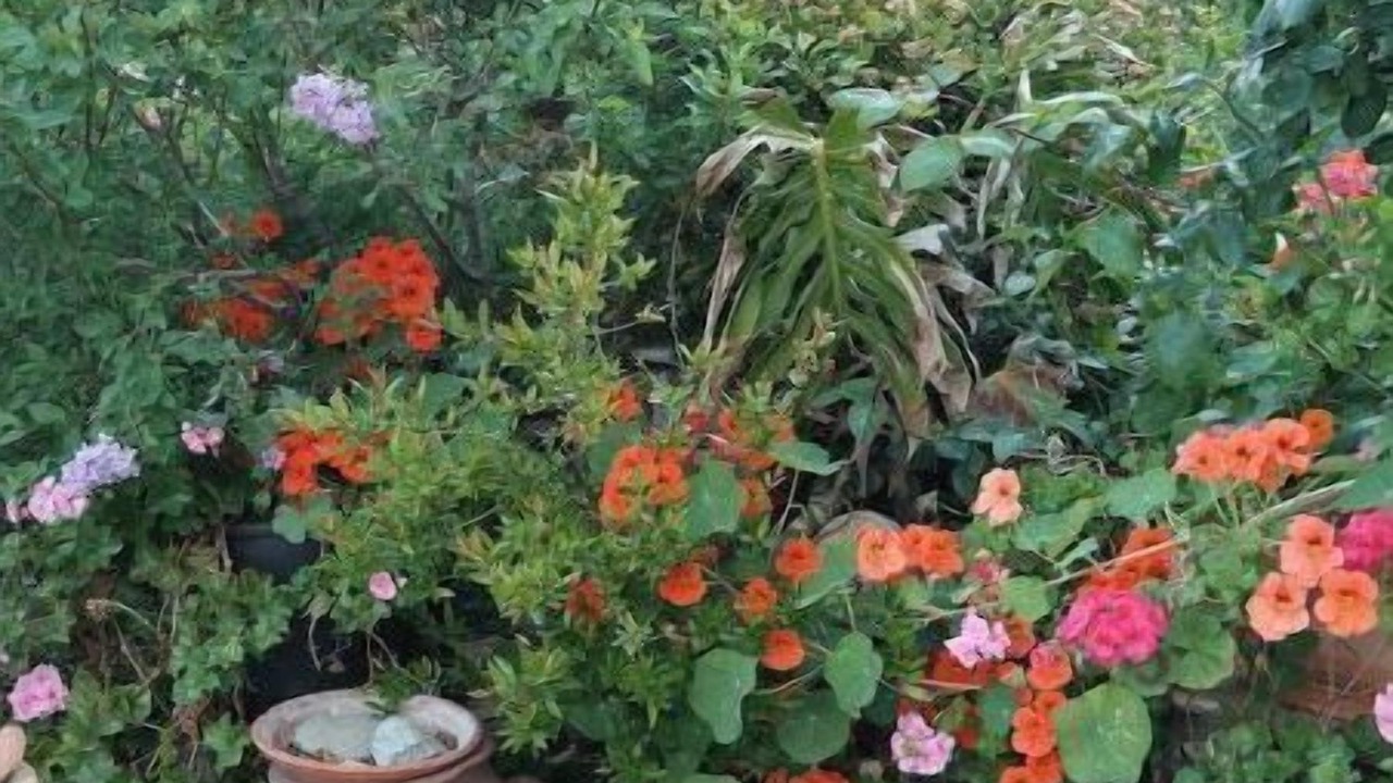 Photo of Outdoor in Katapola